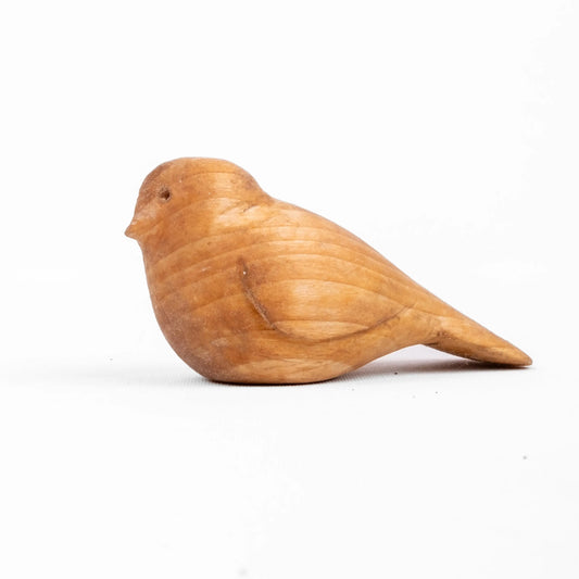 DIY01 - Kuş Oyma Seti - Her Şey Dahil Başlangıç Seti Yontu