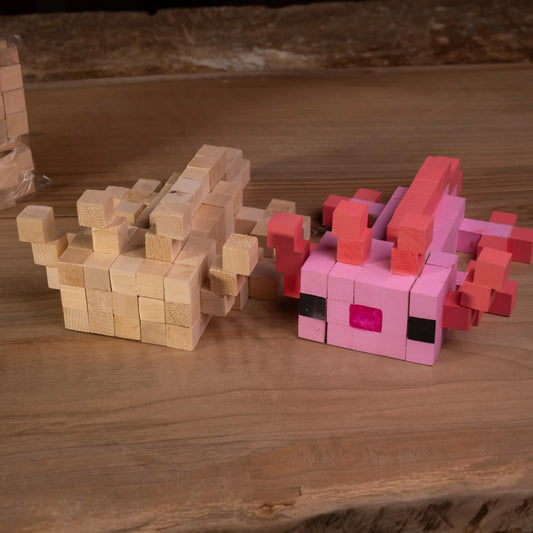 Minecraft Piksel Aksolotl Seti | Her Şey Dahil Set | Adım Adım Video
